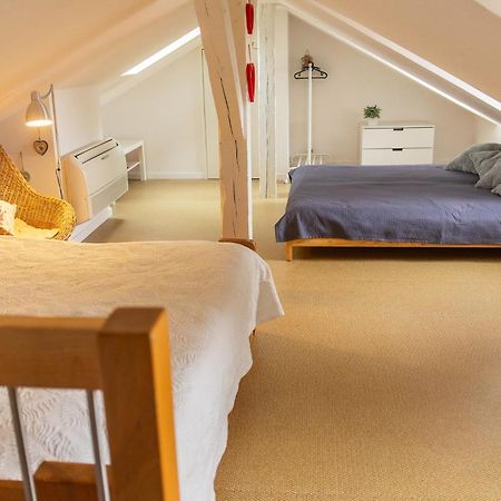 City Center Duplex Loft Кольмар Екстер'єр фото