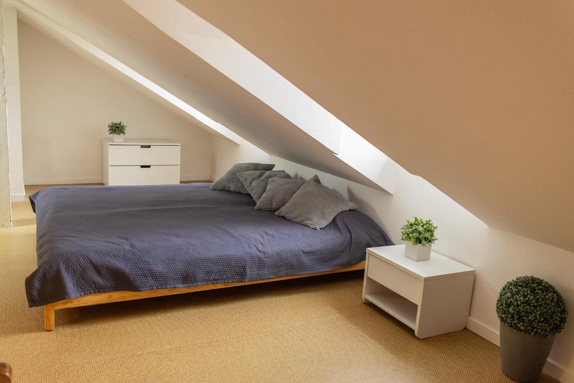 City Center Duplex Loft Кольмар Екстер'єр фото